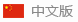 中文（wén）版